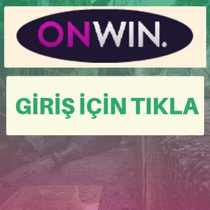 Onwin giriş